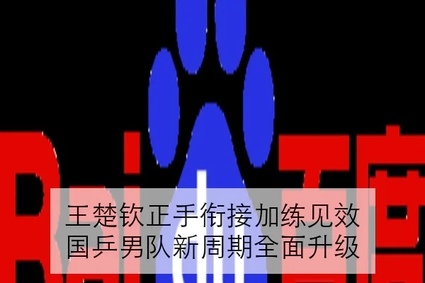 王楚钦正手衔接加练见效 国乒男队新周期全面升级